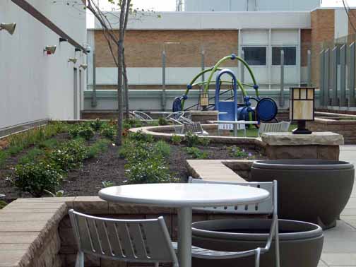 Rooftop Garden