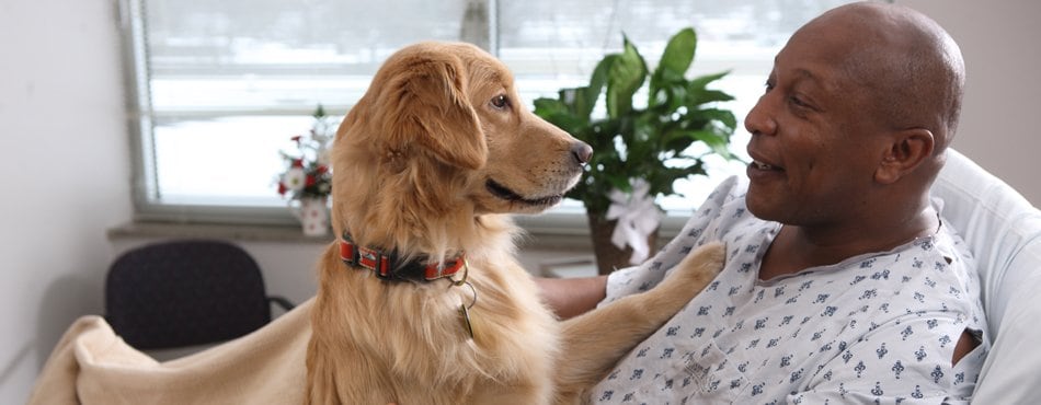 Patients and Visitors